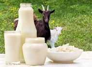 Keçi Sütünün faydalarını Biliyor muydunuz ?